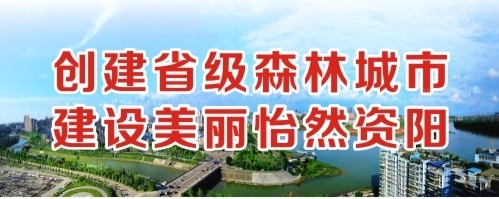 免费看黄操b网站创建省级森林城市 建设美丽怡然资阳